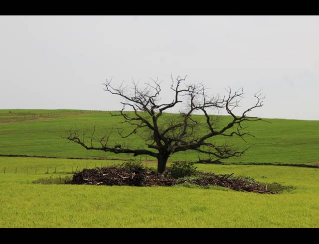 235HA FARM FOR SALE IN MALMESBURY RURAL